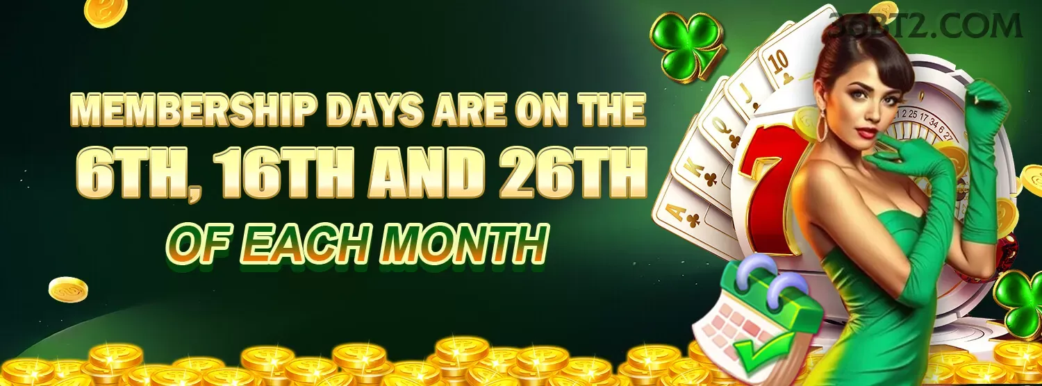 Cashback Program